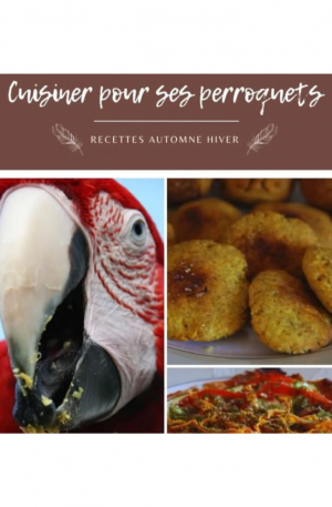 Cuisiner pour ses perroquets - Recettes automne hiver