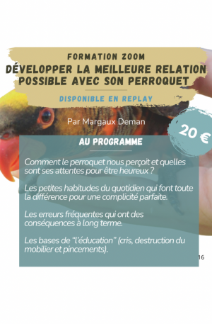Formation en replay - Développer la relation idéale