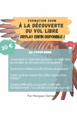 Formation Zoom en replay - La découverte du vol libre