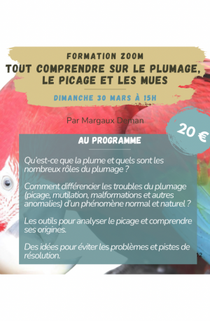 Formation Zoom en replay - Le picage et troubles du plumage