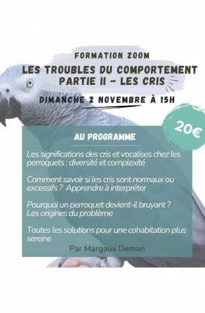Formation Zoom en replay - Les troubles du comportement partie 2