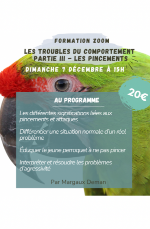 Formation Zoom en replay - Les troubles du comportement partie 3